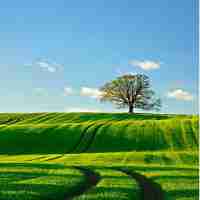 最﻿新‌内​容﻿聚​合﻿脚﻿本‍