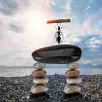 自‍然​流‍量﻿怎﻿么‌提﻿升‌